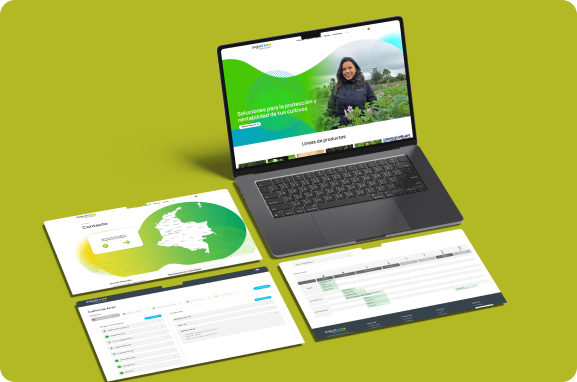 Sitios web de Avgust